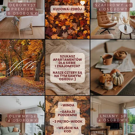 Apartment Lniany 36 - Nowosc! - Balkon Z Widokiem, Winda, Bezplatny Podziemny Parking Kudowa Zdroj